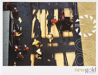 New Gold - annual report (cover)